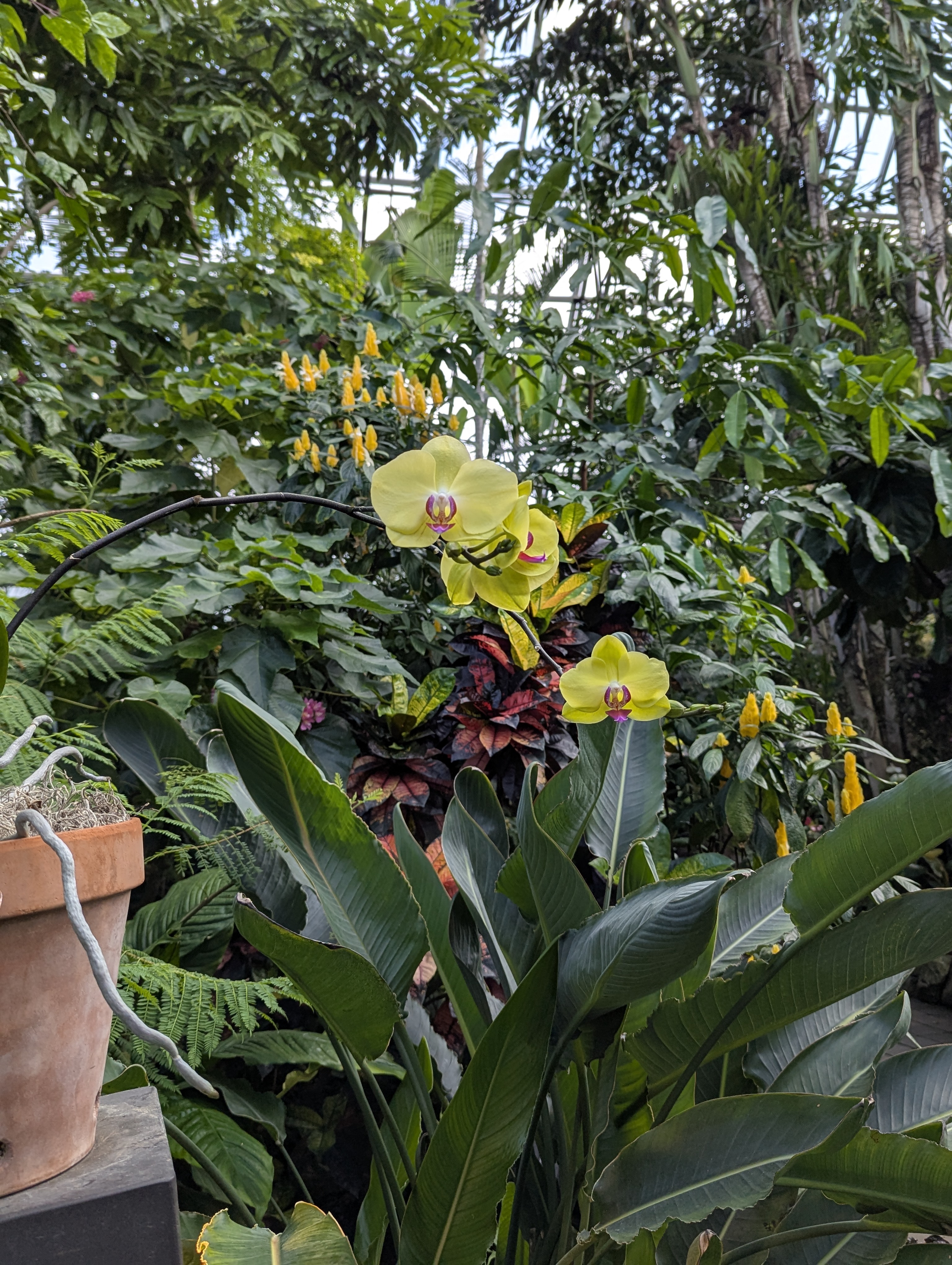 Birthday Trip to Canada, Edmonton, Pyramids, Muttart Observatory